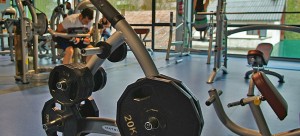 Global Fit