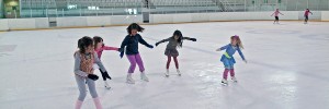 Pabellón de hielo de Jaca