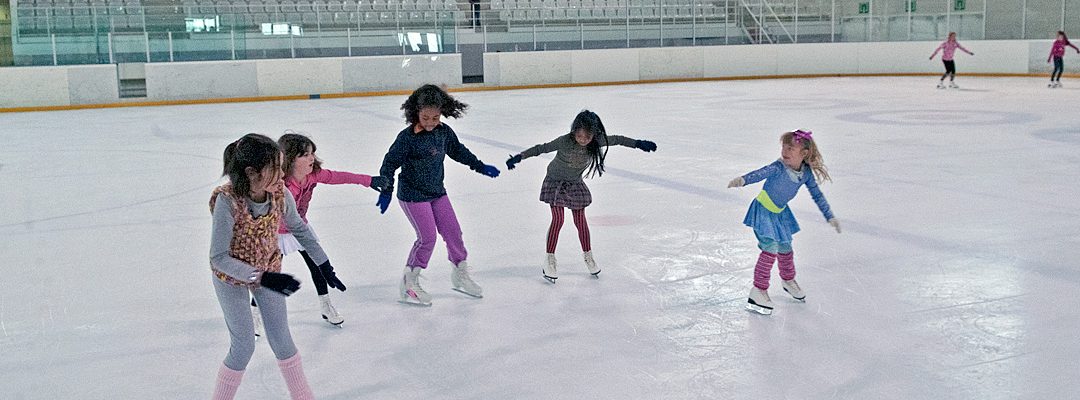 Pabellón de Hielo de Jaca