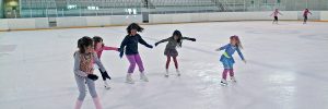 Pabellón de Hielo de Jaca