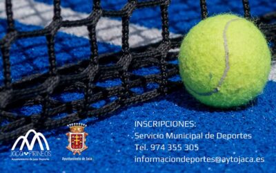 Actividades deportivas municipales para el verano 2024