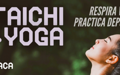 Yoga y Taichí con el Servicio Municipal de Deportes